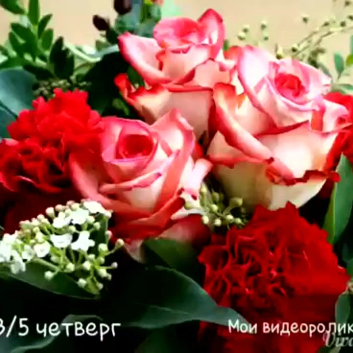Зөлфия Ахунҗанова