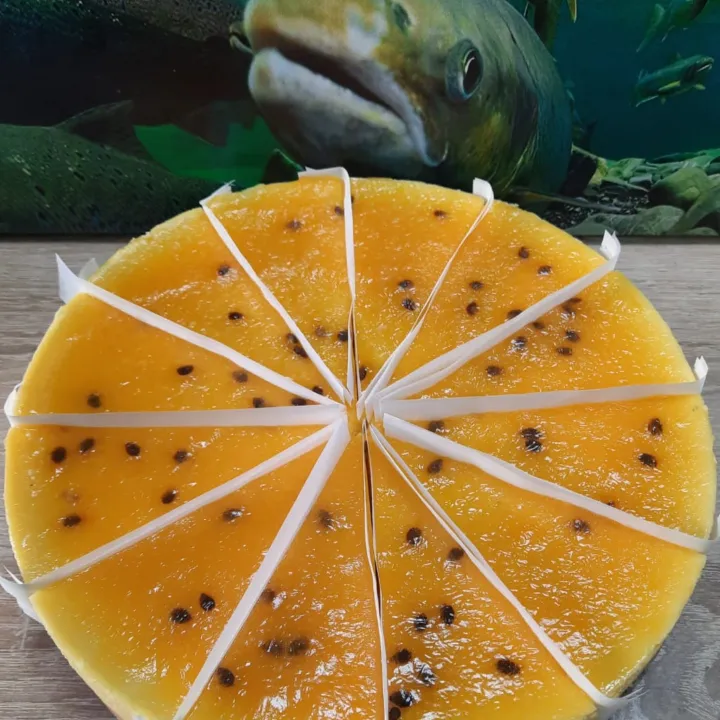 Гөлия Шәйхетдинова
